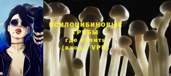 гидра Горняк