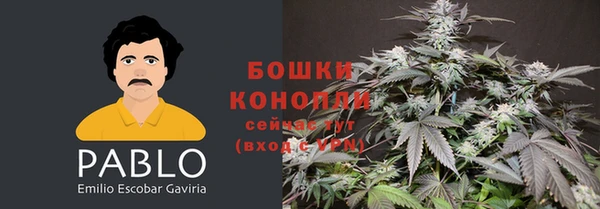 молекула духа Горно-Алтайск