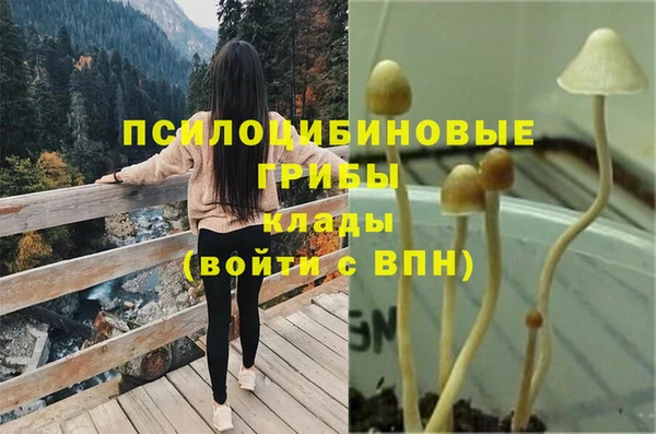 молекула духа Горно-Алтайск