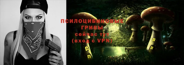 молекула духа Горно-Алтайск