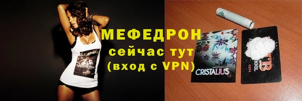 гидра Горняк