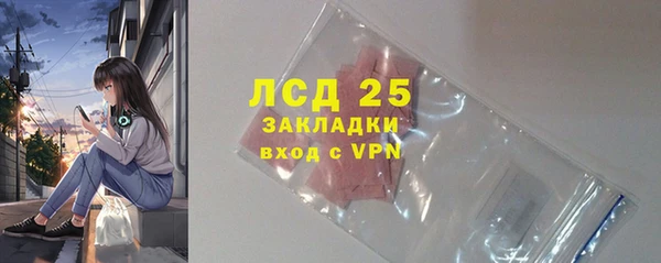 гидра Горняк