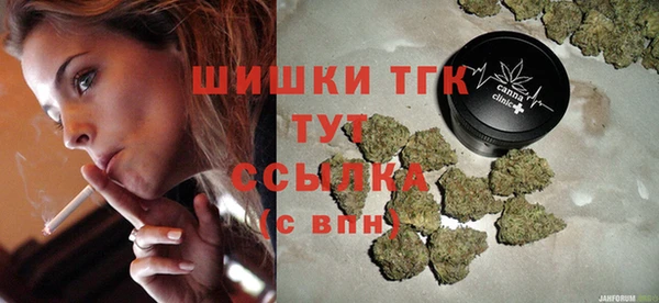 гидра Горняк