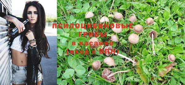 молекула духа Горно-Алтайск
