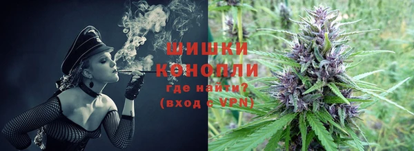 молекула духа Горно-Алтайск