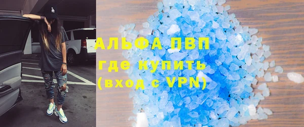 гидра Горняк