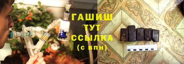 гидра Горняк