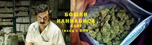 гидра Горняк