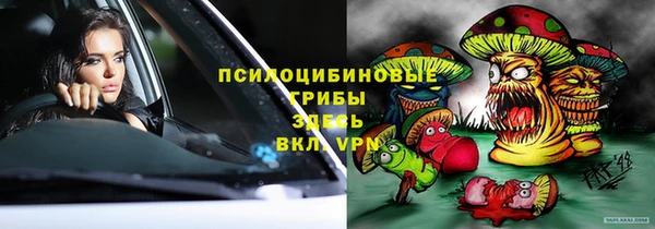 гидра Горняк