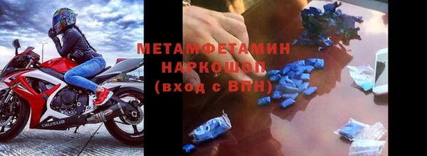 гидра Горняк