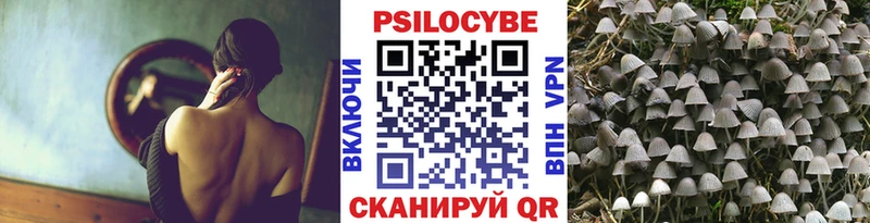 Галлюциногенные грибы GOLDEN TEACHER  МЕГА ТОР  Змеиногорск 